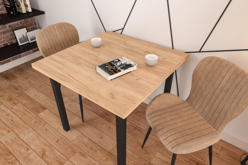 Essgruppe A42, Esszimmer Set , Esstisch mit 2 Stühlen- Farbe wählbar